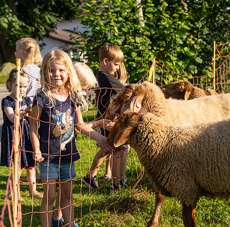 Helping Hands at the Farm